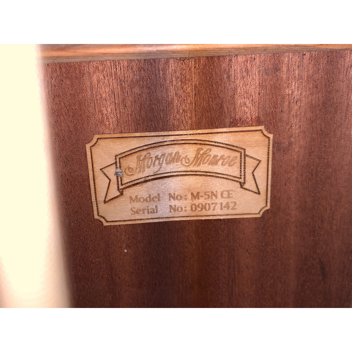 Morgan Monroe M-5n ce Accoustic Electric