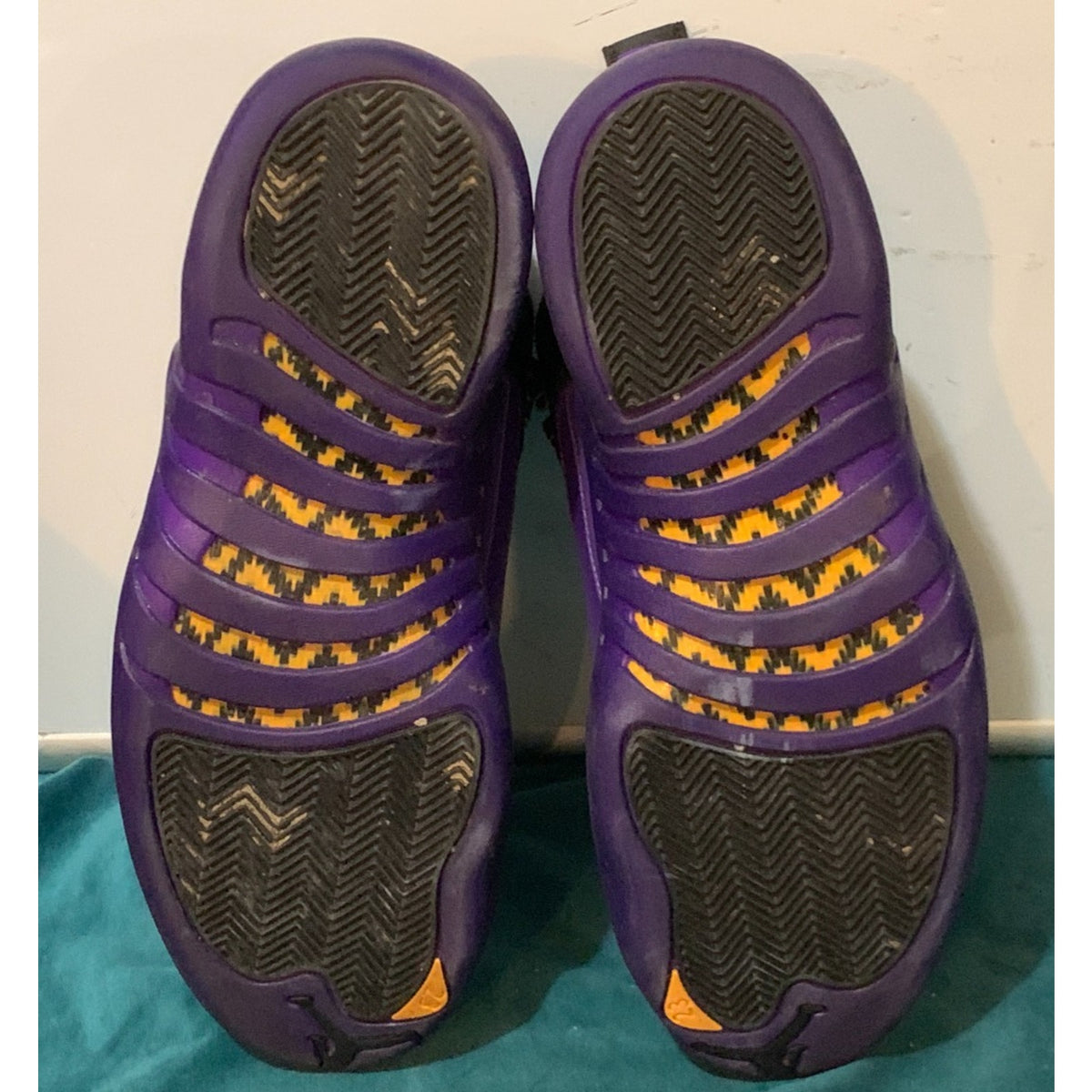 Air Jordan 12 Retro Men’s Size 12 Black/Field Purple Noir/Violet CT80113-057