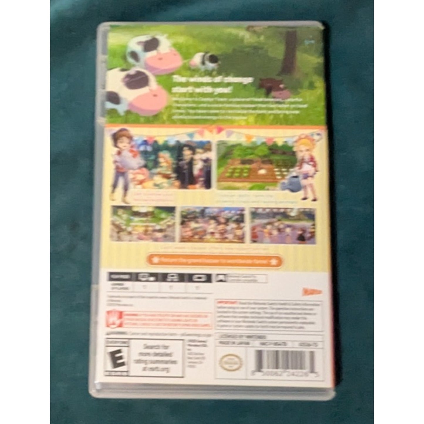 Story Of Seasons Grand Bazaar Standard Edition Nintendo Switch