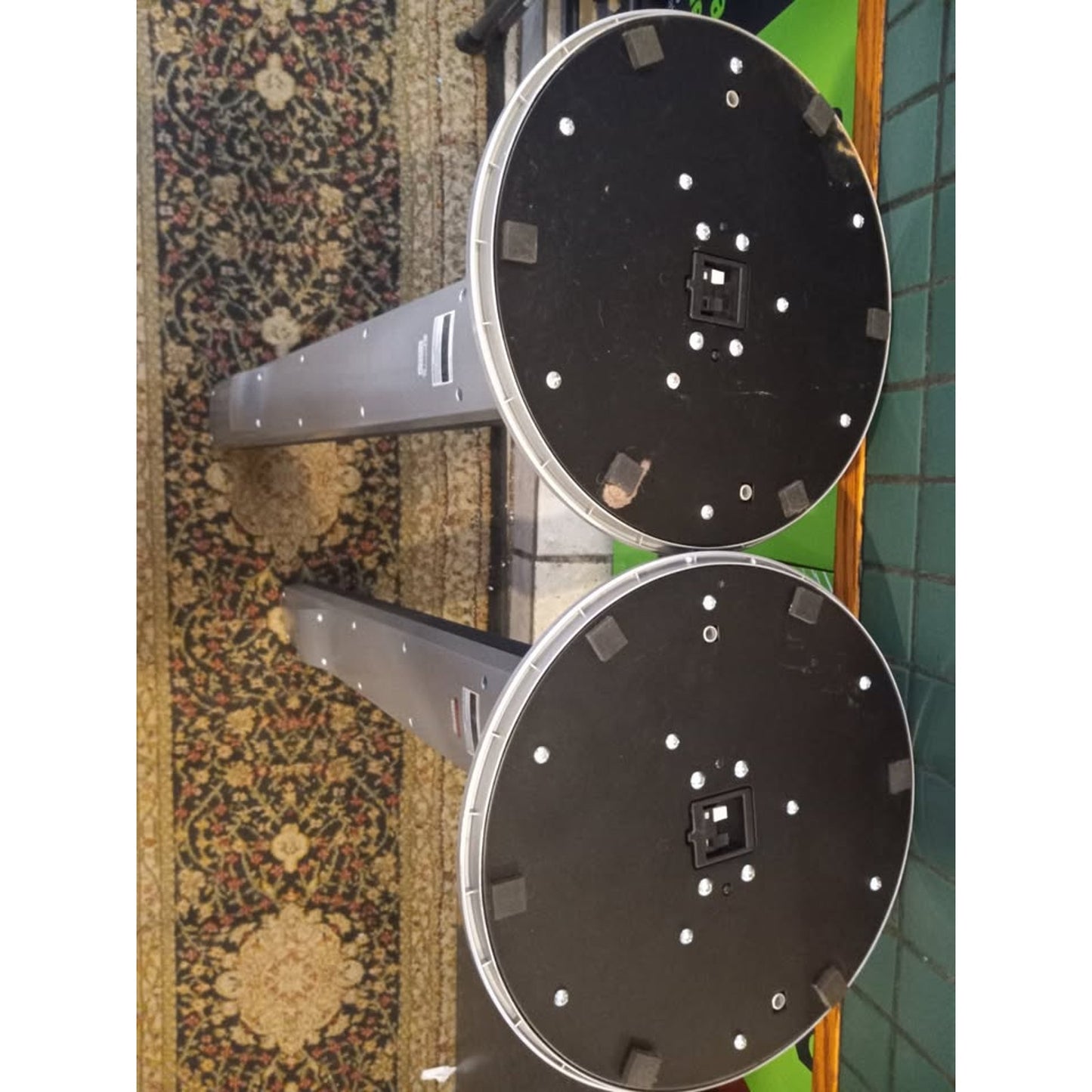 Sony Standing Electric Speakers