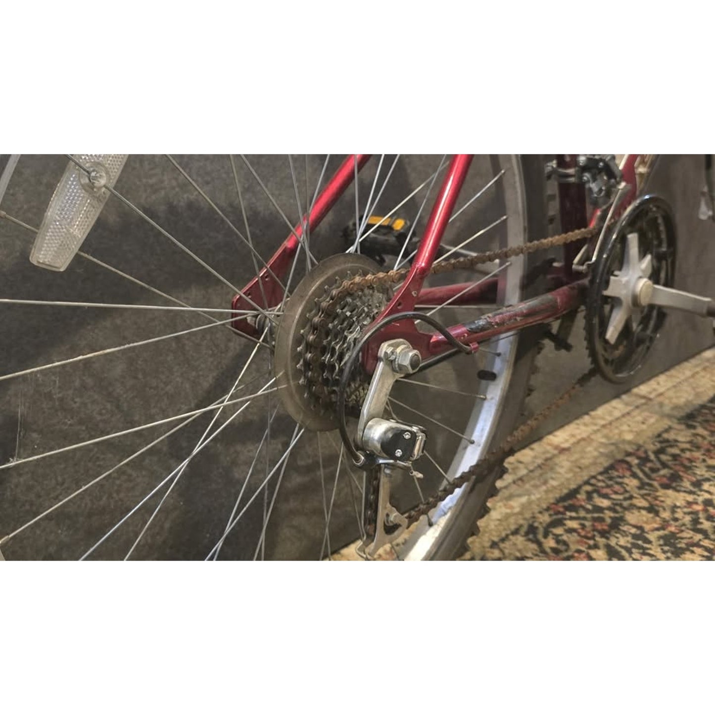 Pacific Timber Trail  Mouuntian Bike / 26" Wheel / 17" Frame / 21-Speed /