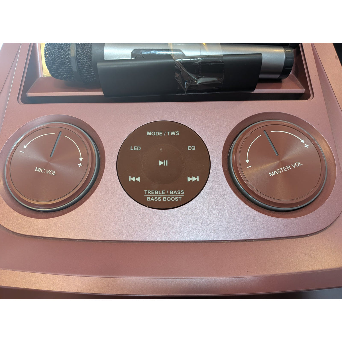 Pioneer Party Speaker with Mics / PS122R1