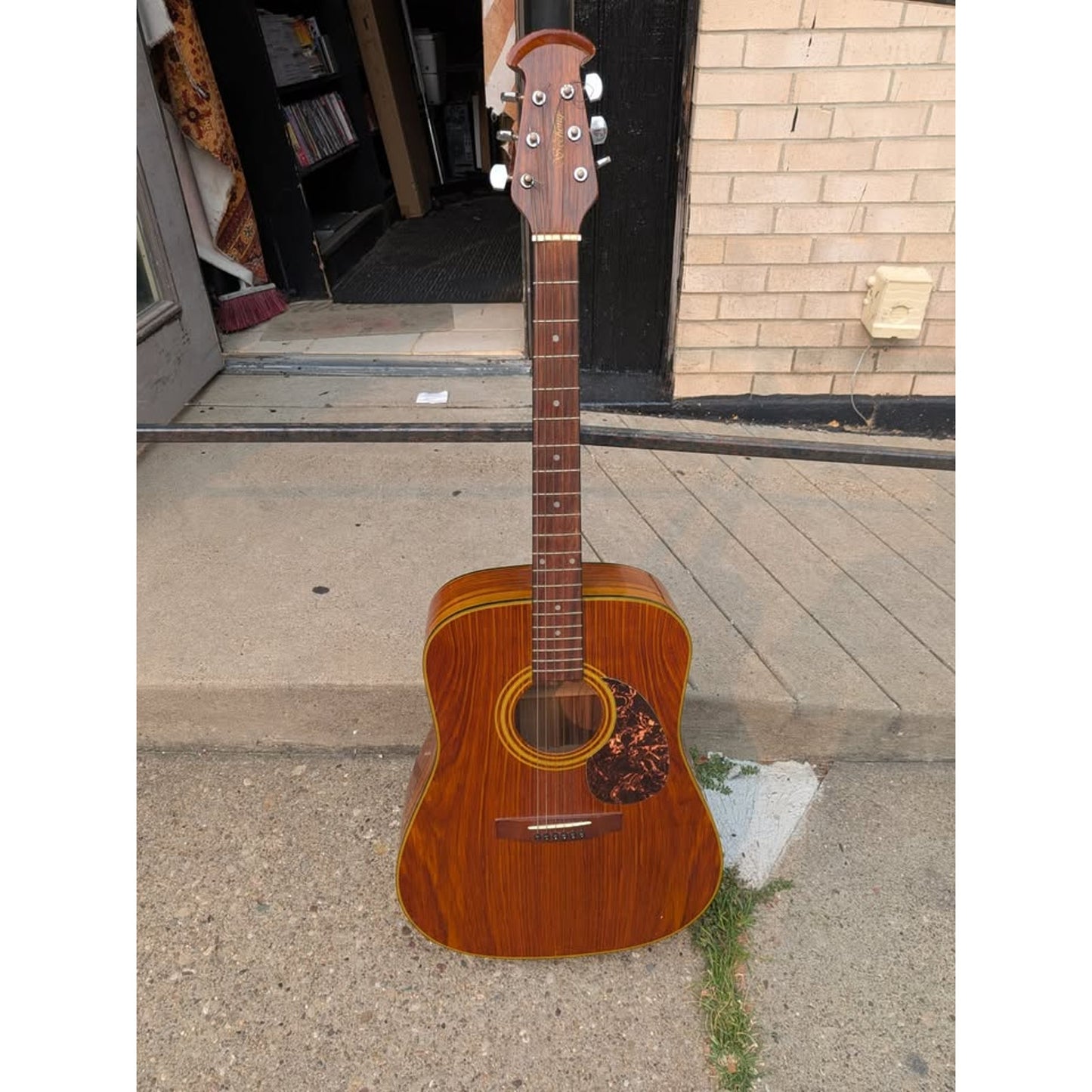 Sechong 6-String Guitar