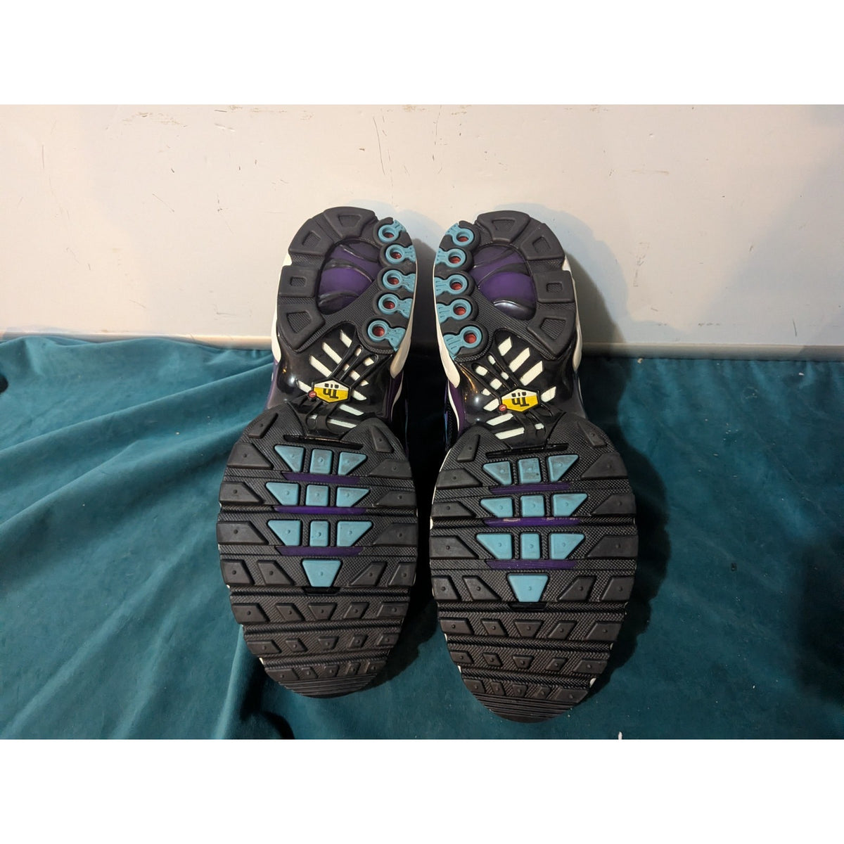 Nike Air Max Plus Reverse Grape FQ2415-500 Size 10.5