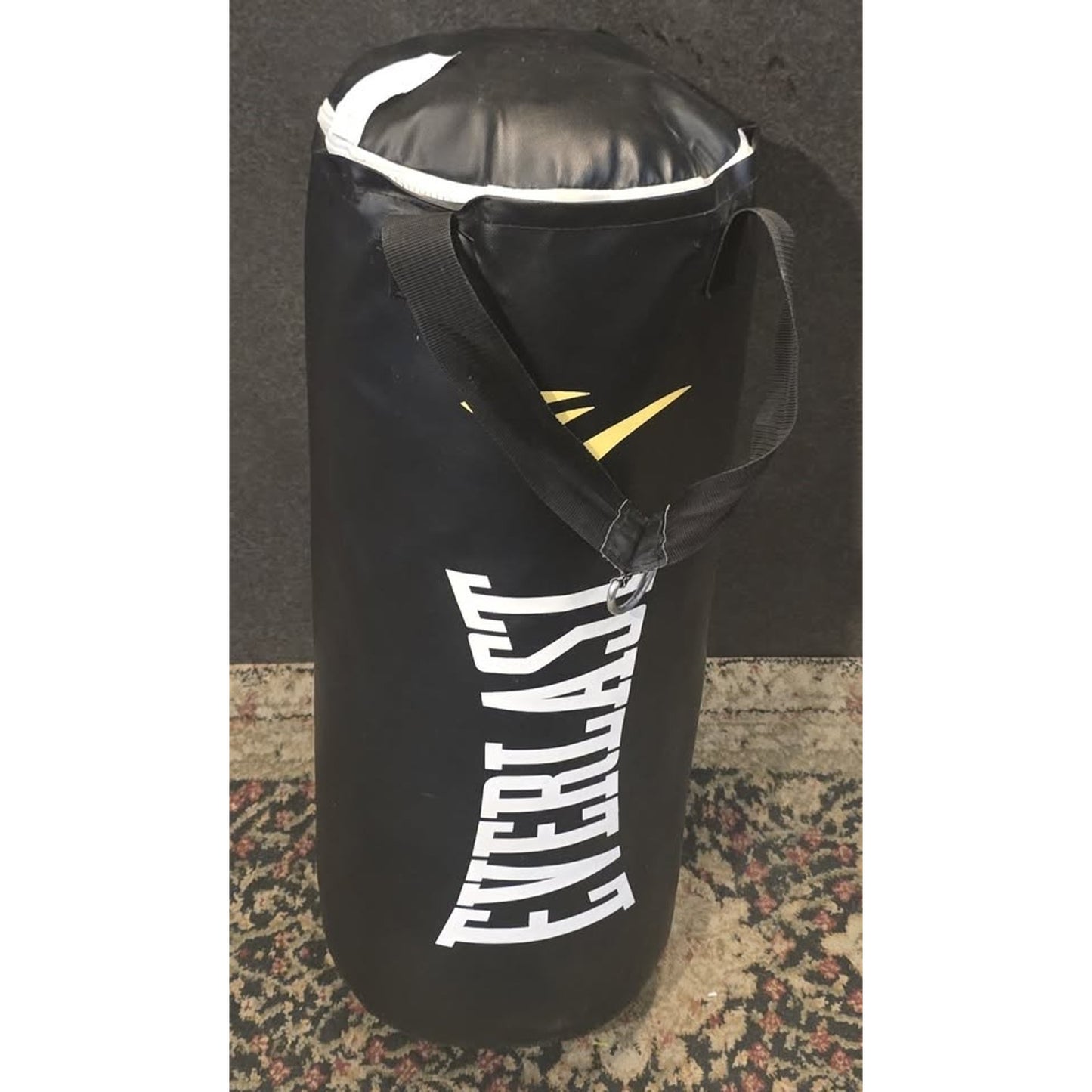 Everlast Punching Bag