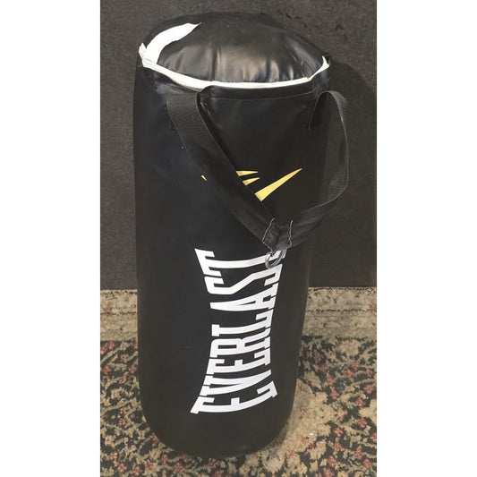 Everlast Punching Bag