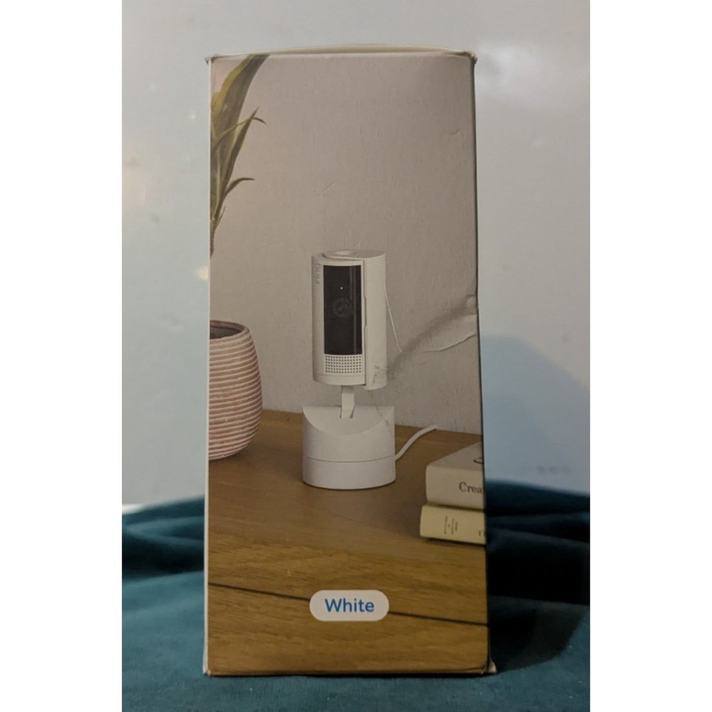 Ring Pan-Tilt Indoor cam