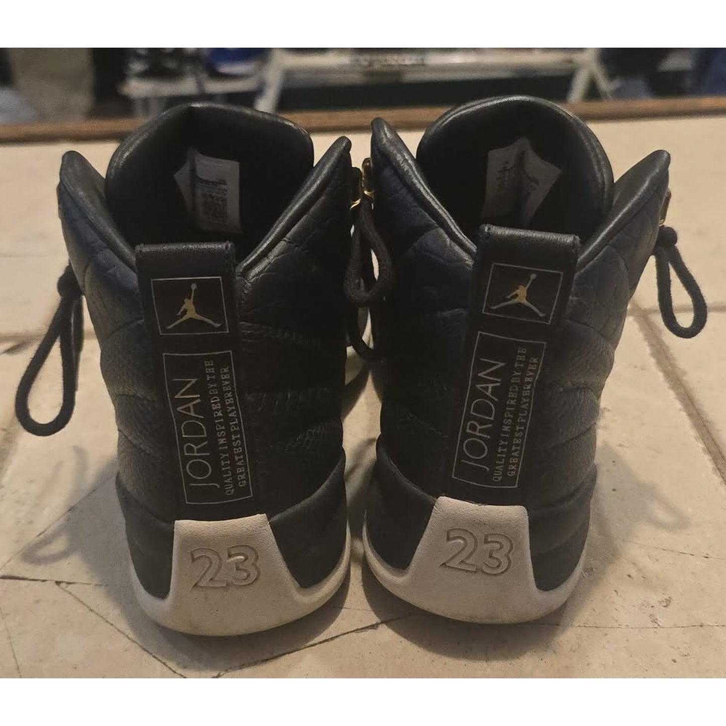 Air Jordan 12 Retro 'Reptile' / 8W / AO6068-007 /