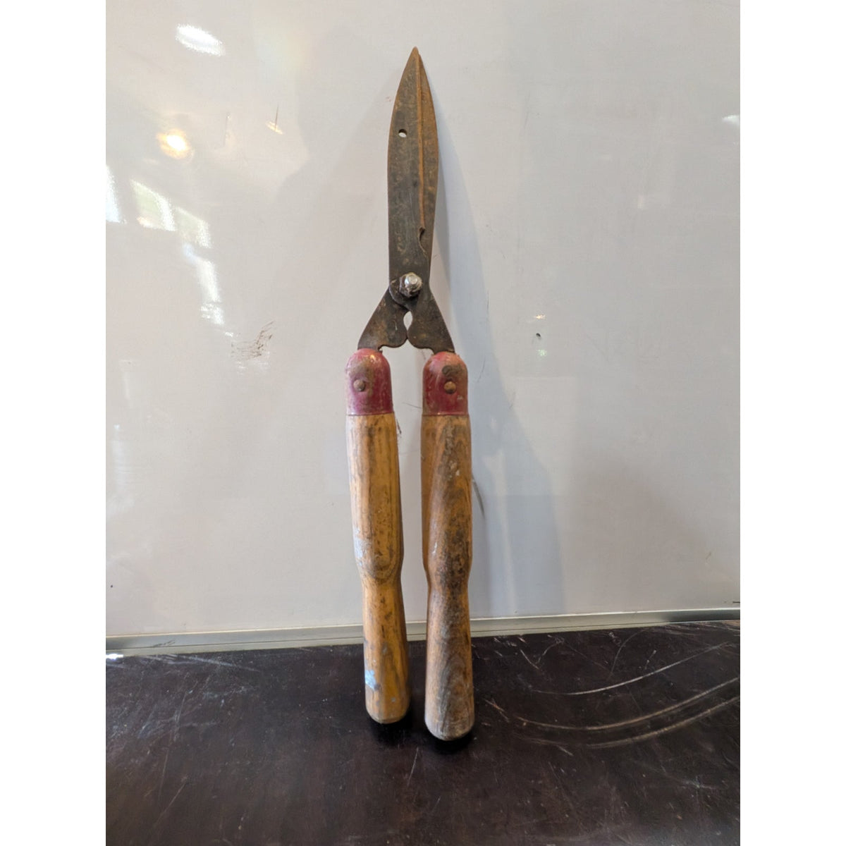 Garden Shears