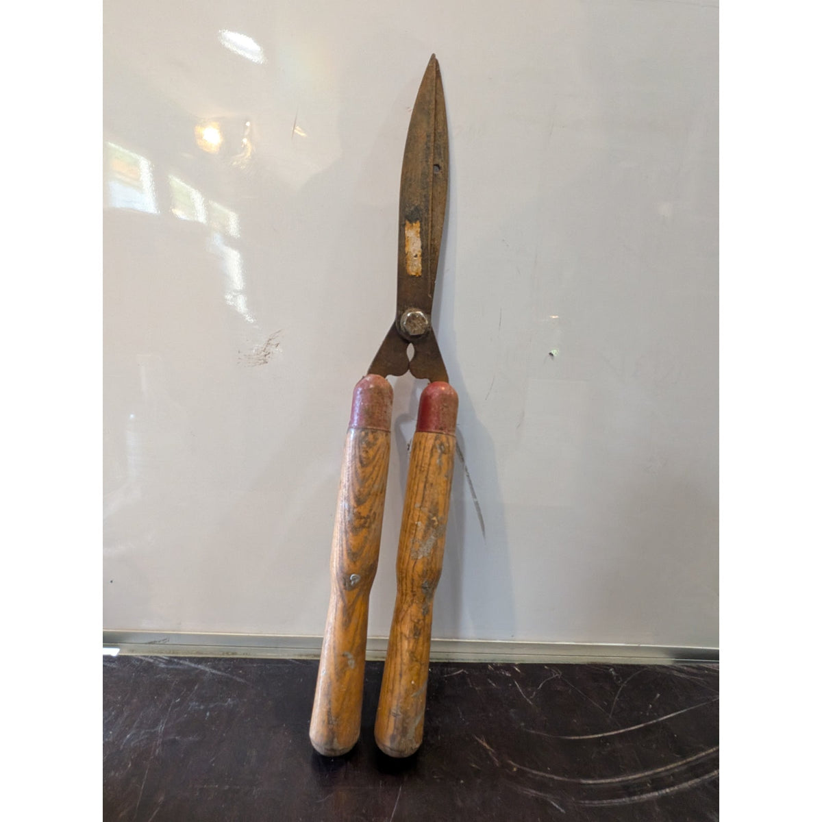 Garden Shears