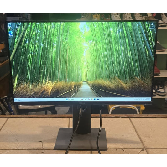 Dell 24" FHD Monitor / P2419H /