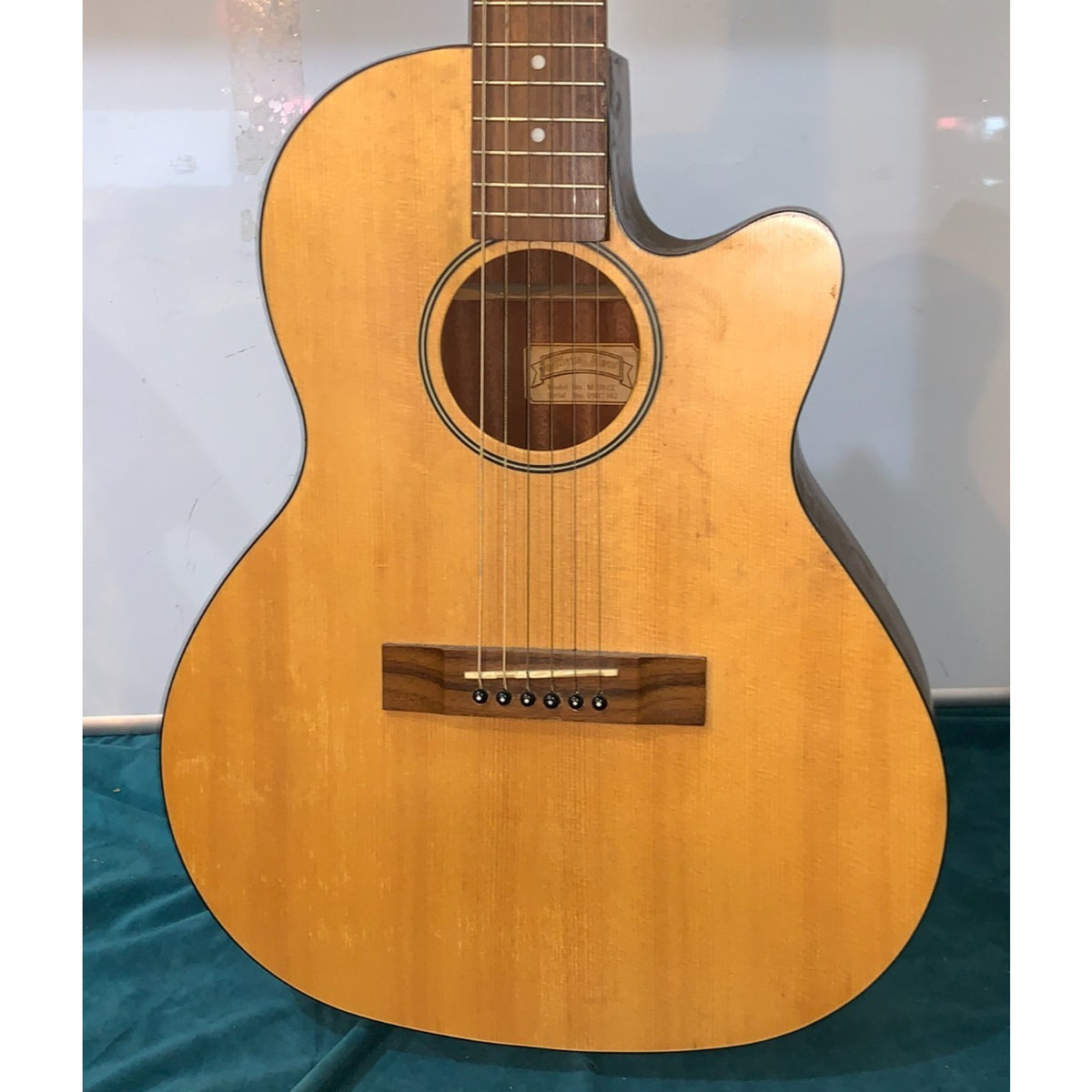 Morgan Monroe M-5n ce Accoustic Electric