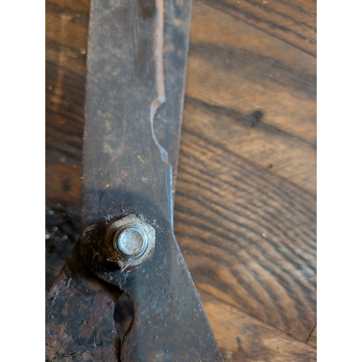 Garden Shears