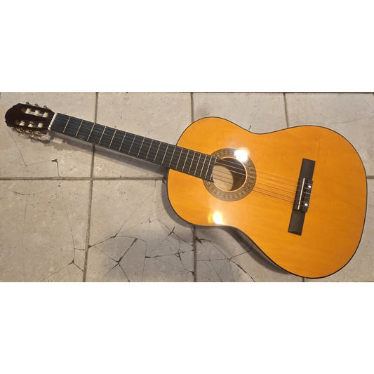 Classic 6-String Acoustic Guitar