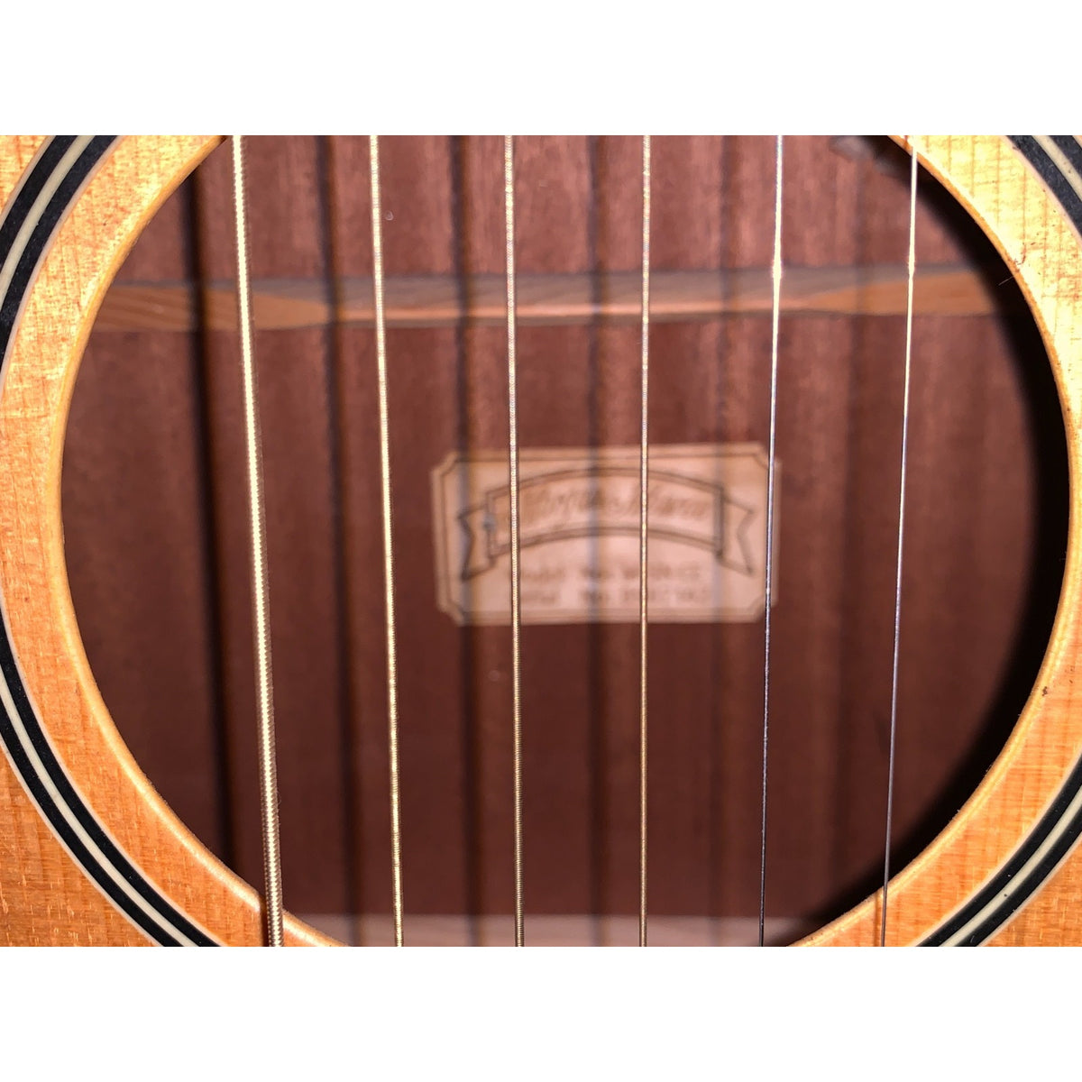 Morgan Monroe M-5n ce Accoustic Electric