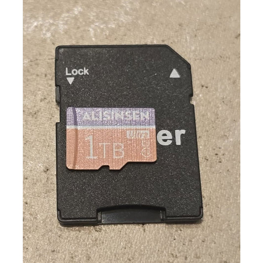 1TB Micro SD Card