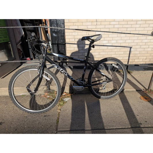Giant Boulder Bike / 26" Wheels