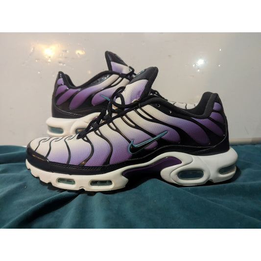 Nike Air Max Plus Reverse Grape FQ2415-500 Size 10.5