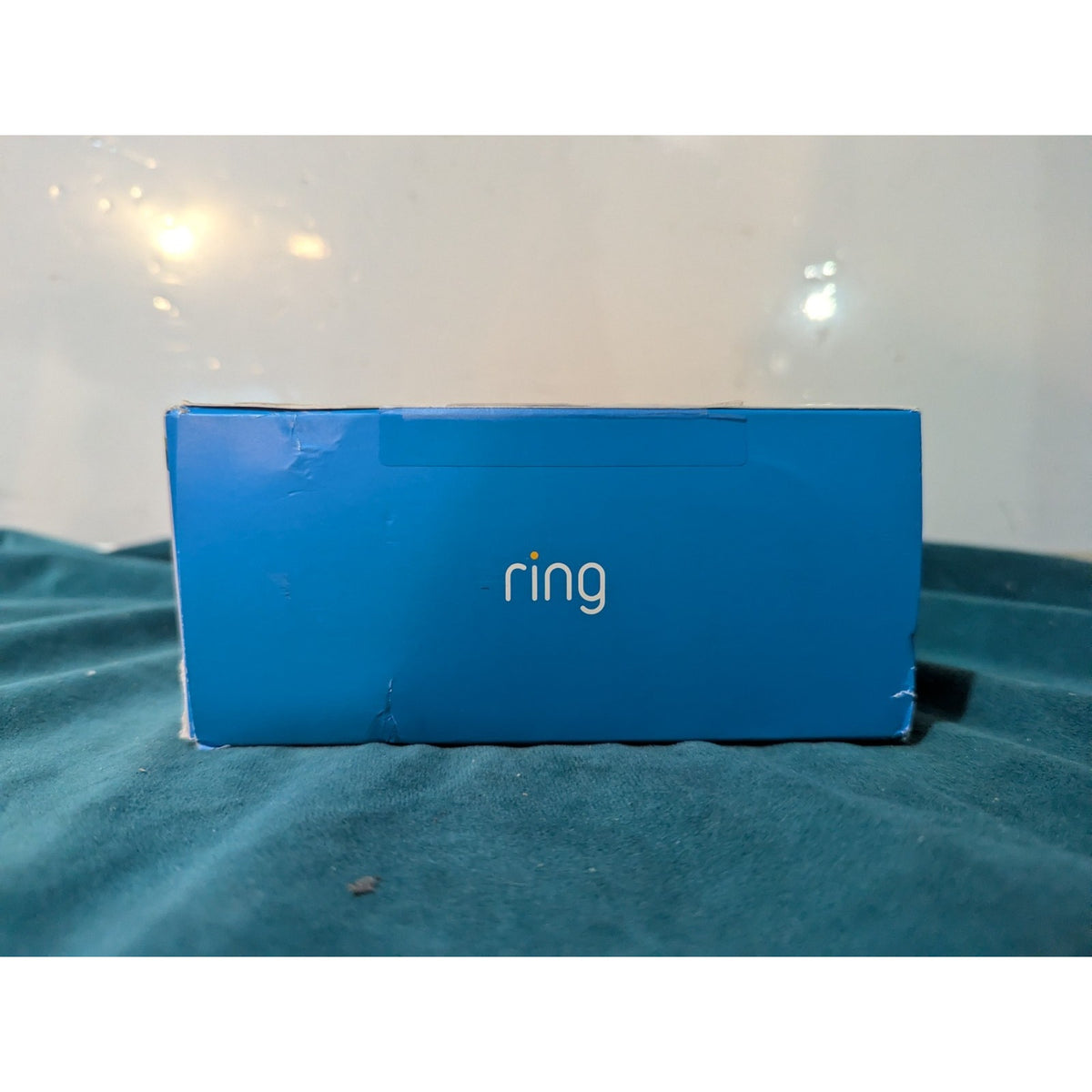 Ring Pan-Tilt Indoor Cam